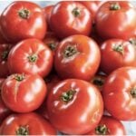 Fresh ripe red tomatoes clustered together overhead view for tomato shot in Southern cooking