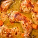 Braised Chicken Thighs in golden sauce with carrots in a Dutch oven, viewed from above