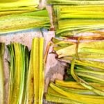Step-by-step photos for preparing fresh roasted leeks, showing cleaned leeks being trimmed and cut on a wooden cutting board