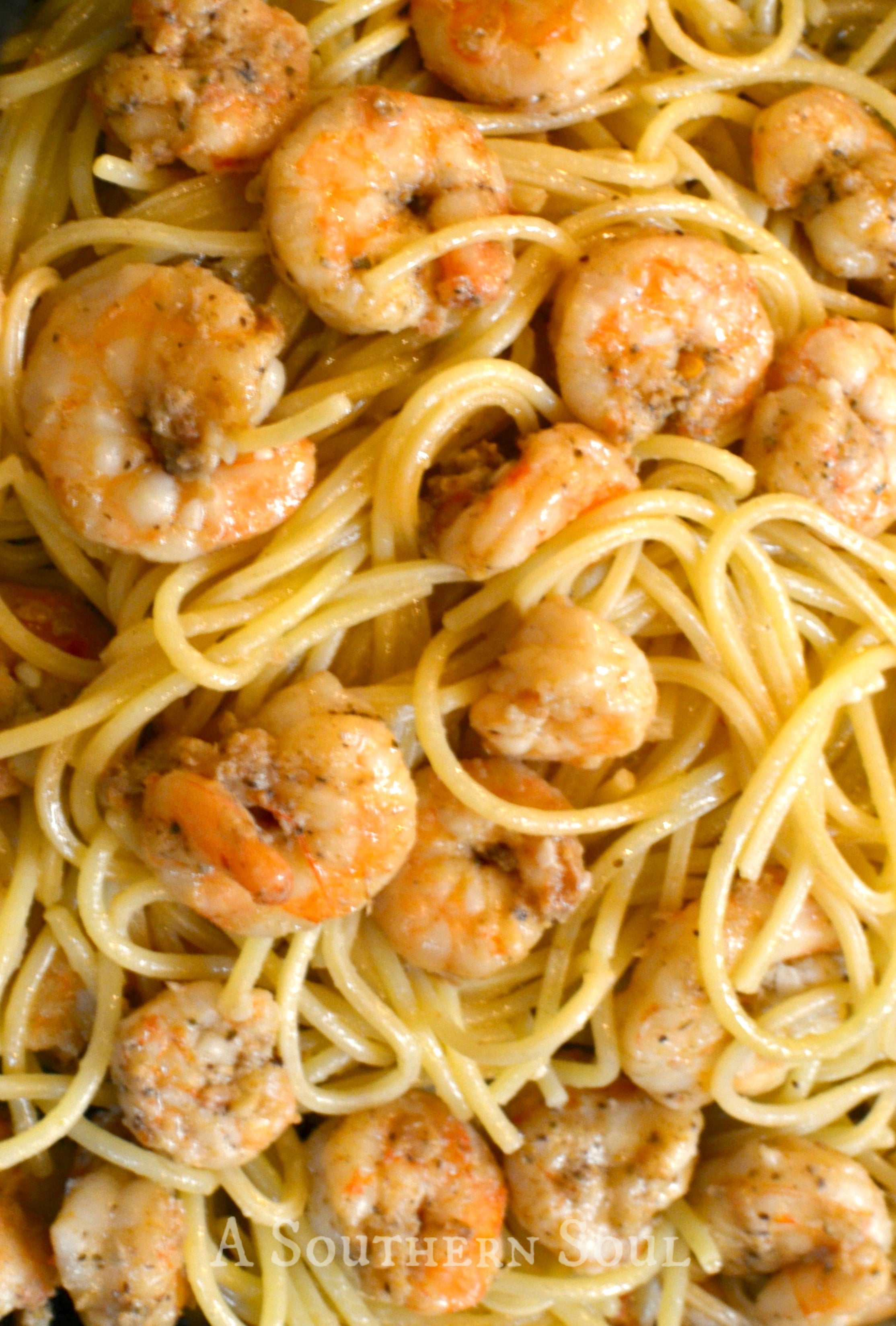 shrimp scampi