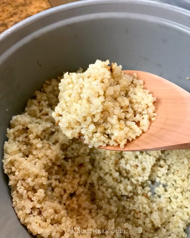 Fluffy quinoa in white rice cooker with wooden spoon holding cooked grains, Southern Soul recipe