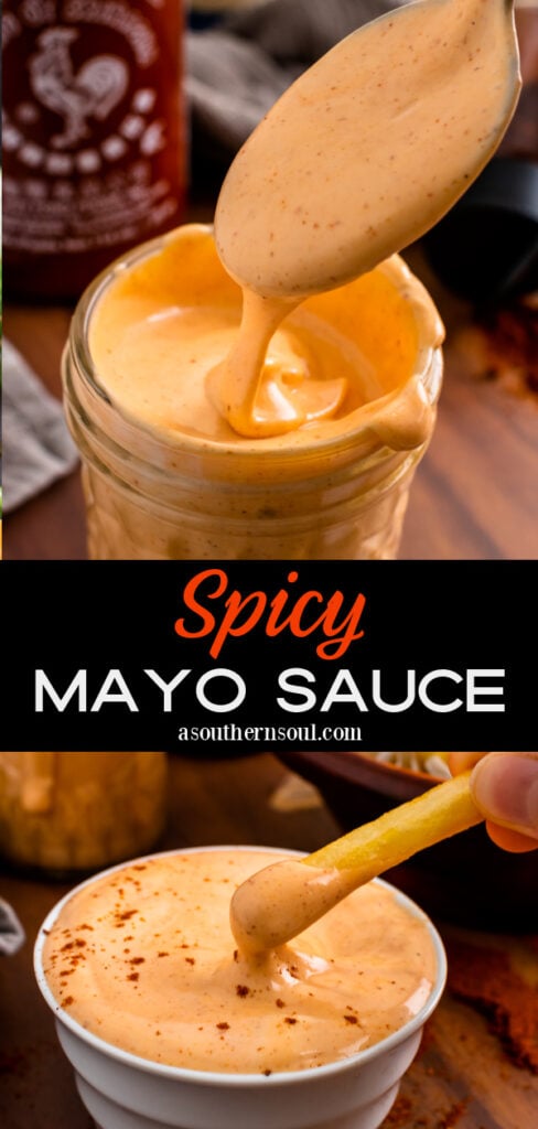 Spicy Mayo Sauce with french fries for dipping.