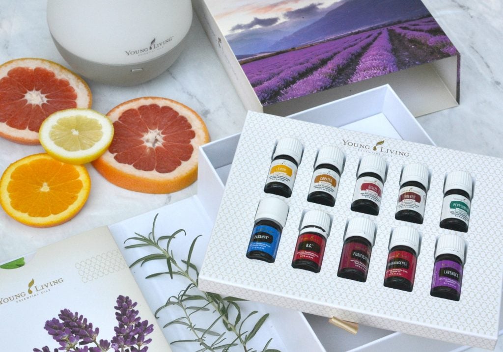 YL oil premium kit