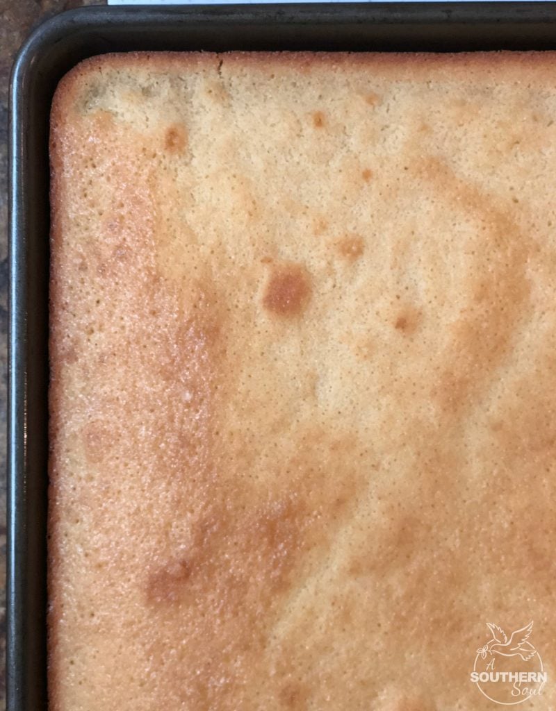 vanilla sheet cake with chocolate fudge icing