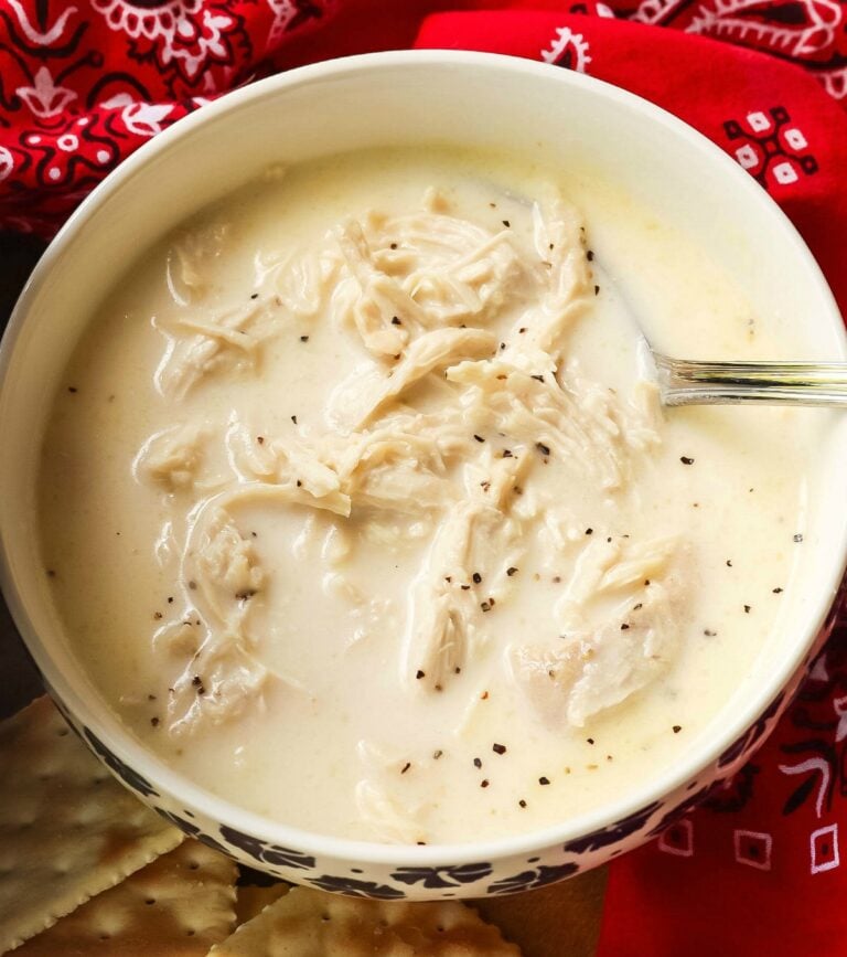 Creamy Southern Style Chicken Stew in white bowl with shredded chicken, cracked black pepper garnish, spoon, red bandana background