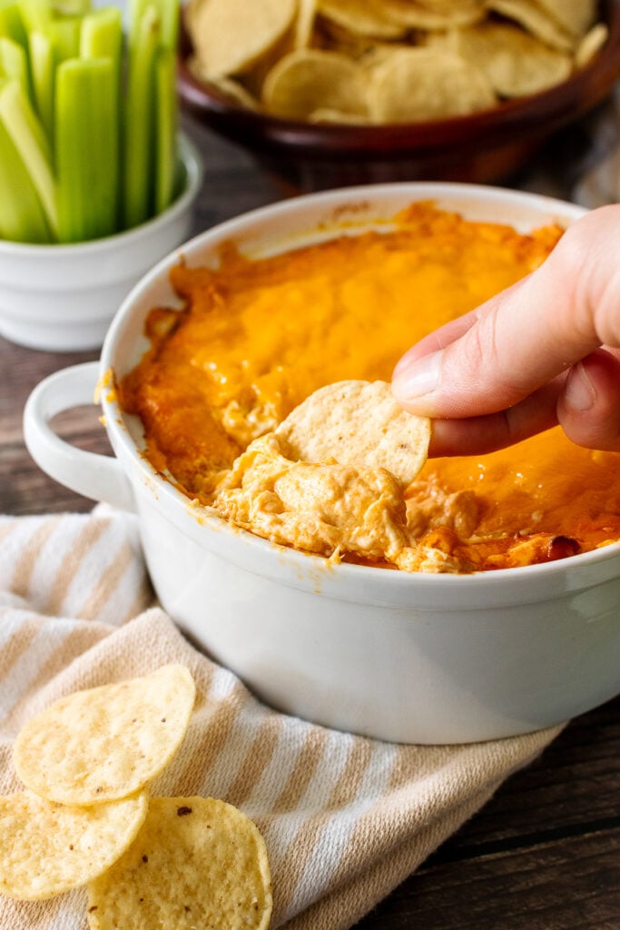 Buffalo chicken Dip baked in a large, round baking dish with dipped tortilla chip.