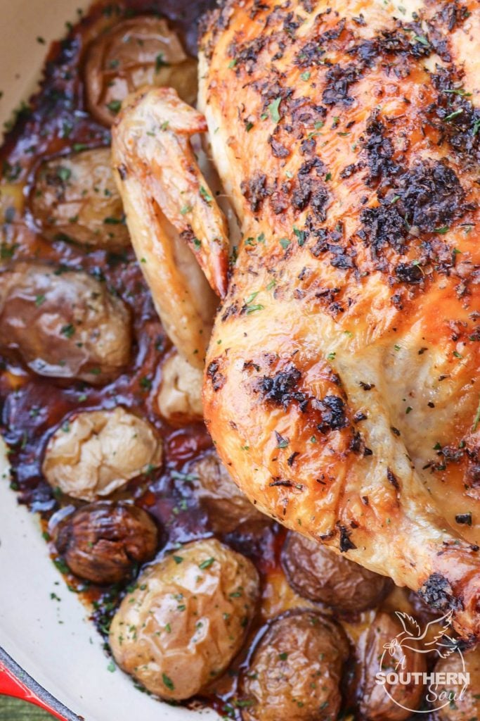 Herb butter with thyme, basil and oregano flavors a whole chicken roasted in the oven on a bed of new potatoes.