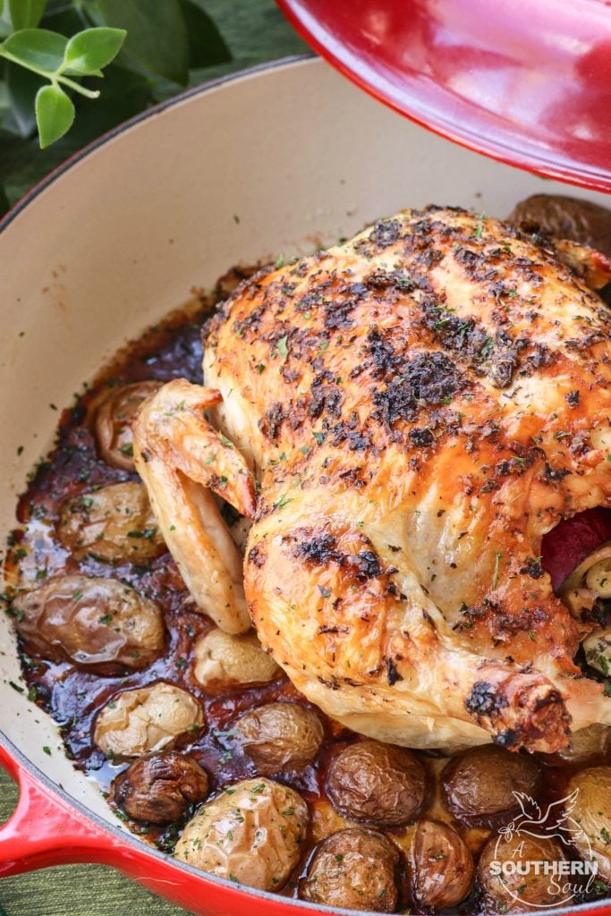 Herb butter with thyme, basil and oregano flavors a whole chicken roasted in the oven on a bed of new potatoes.