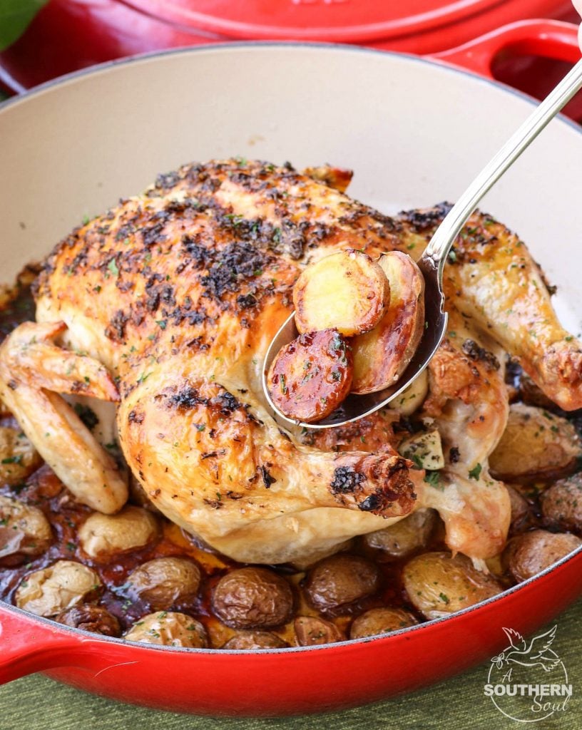 Herb butter with thyme, basil and oregano flavors a whole chicken roasted in the oven on a bed of new potatoes.