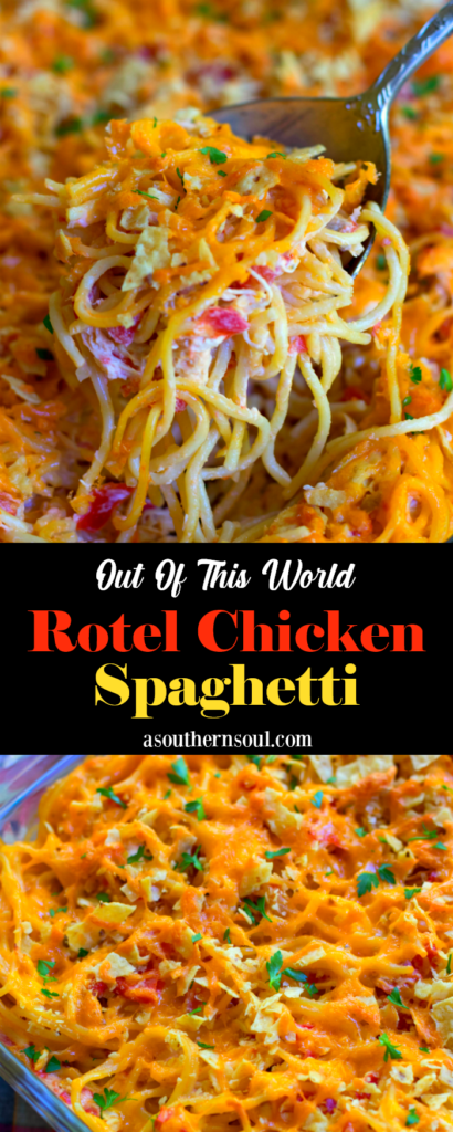 A delicious, easy to make casserole with spaghetti, chicken, Rotel tomatoes and chilie, cream cheese, sour cream and cheddar cheese. A great dish for potlucks, covered dish suppers or when you're feeding a crowd!