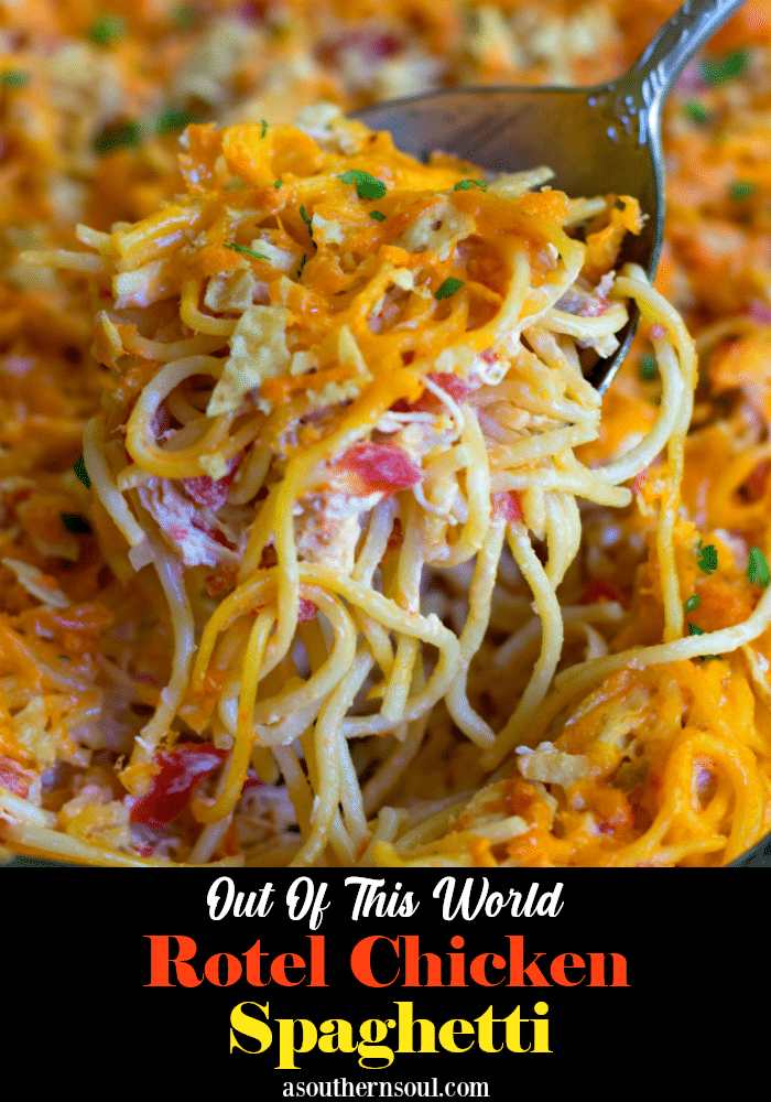 A delicious, easy to make casserole with spaghetti, chicken, Rotel tomatoes and chilie, cream cheese, sour cream and cheddar cheese. A great dish for potlucks, covered dish suppers or when you're feeding a crowd!