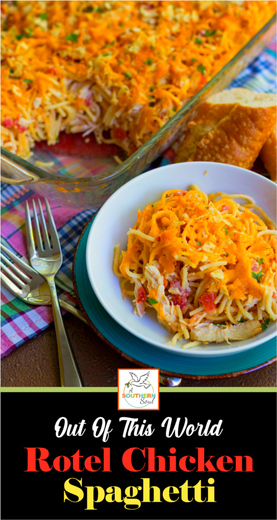 A delicious, easy to make casserole with spaghetti, chicken, Rotel tomatoes and chilie, cream cheese, sour cream and cheddar cheese. A great dish for potlucks, covered dish suppers or when you're feeding a crowd!
