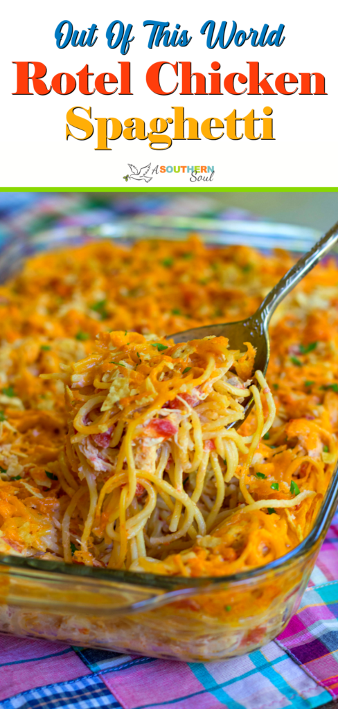 A delicious, easy to make casserole with spaghetti, chicken, Rotel tomatoes and chilie, cream cheese, sour cream and cheddar cheese. A great dish for potlucks, covered dish suppers or when you're feeding a crowd!
