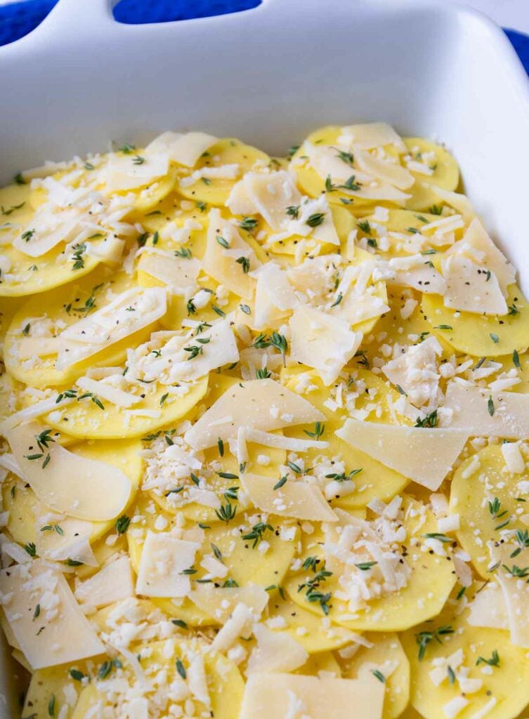 Scalloped Potatoes uncooked in casserole dish with Parmesan cheese and fresh thyme.