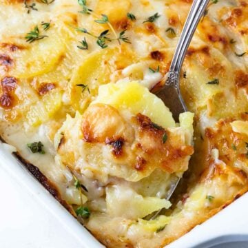 Beautifully golden and perfectly cooked Scalloped Potatoes in a casserole dish.