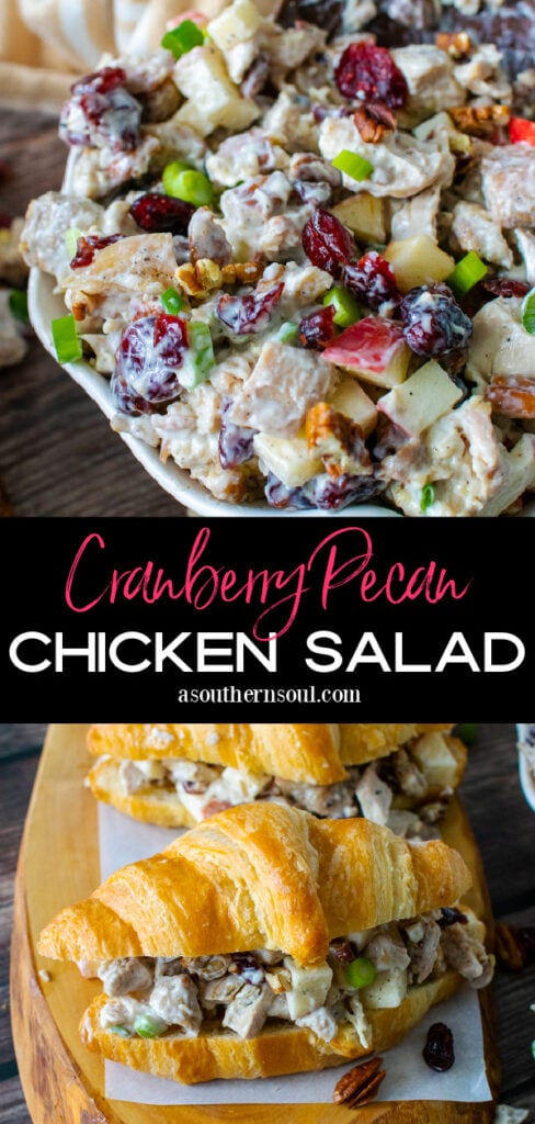 Chicken salad with cranberries and pecans on croissants.