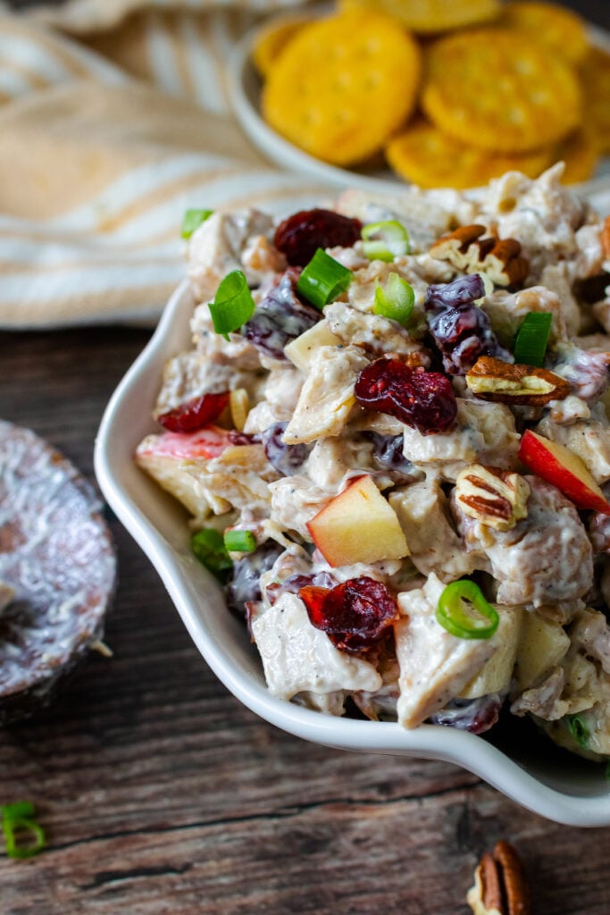 Cranberry Pecan Chicken Salad in a bowl served with crackers.