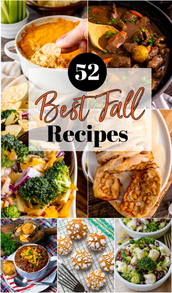 Best Fall Recipes In1 from 52 Best Fall Recipe Roundup recipe