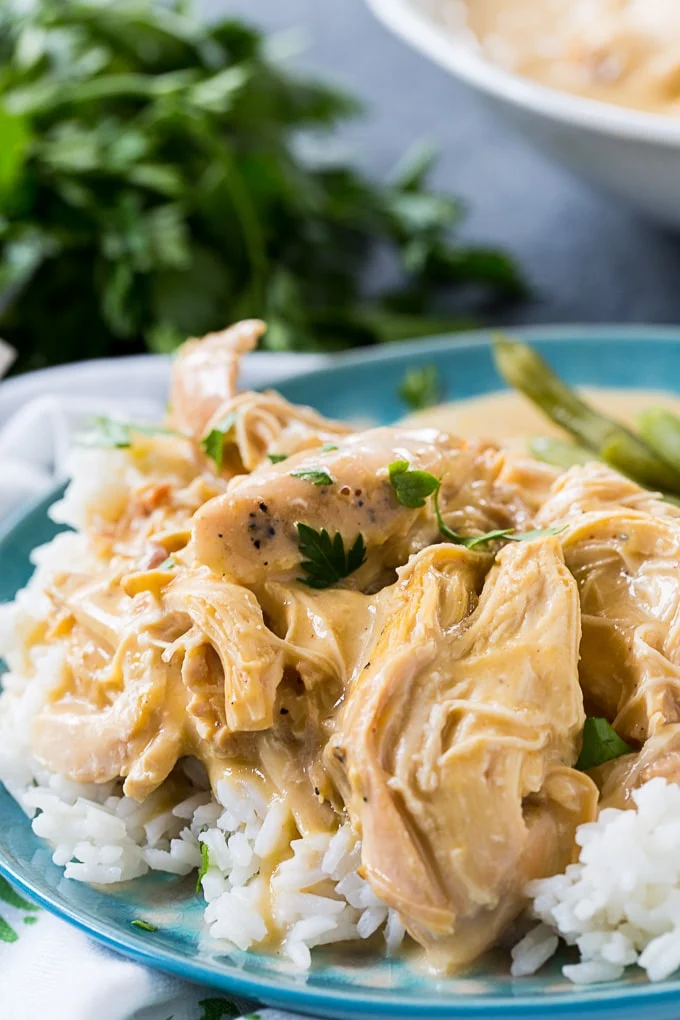 Crock Pot Chicken And Gravy from 30 Best Easy Chicken Recipes recipe