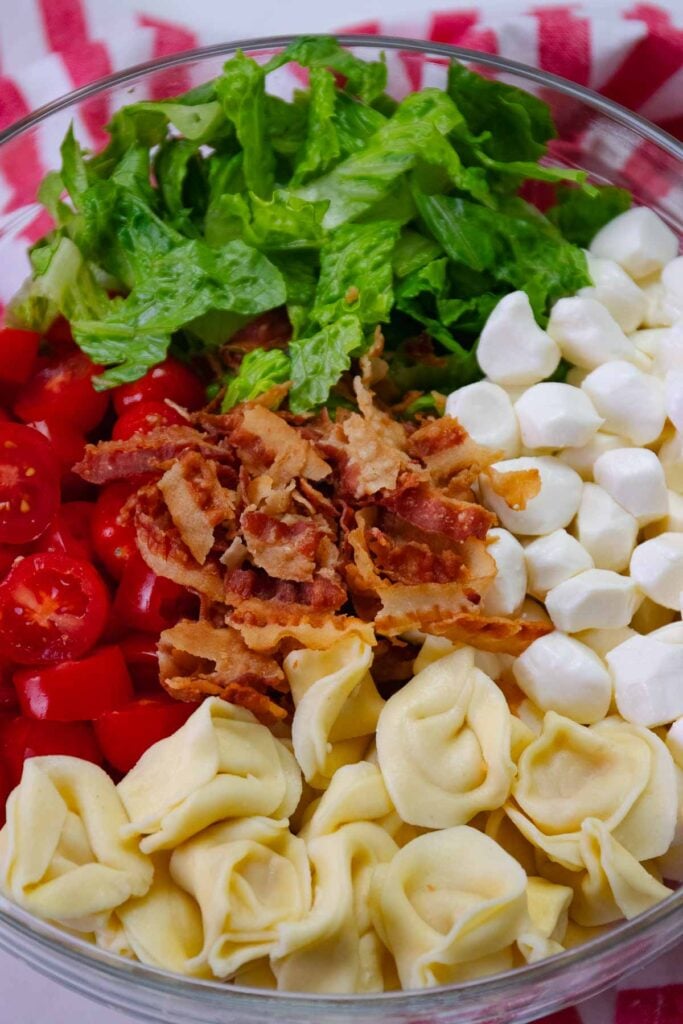 Bacon, Lettuce, Tomatoes, Pearl Mozzarella and Cheese Tortellini Pasta for salad.