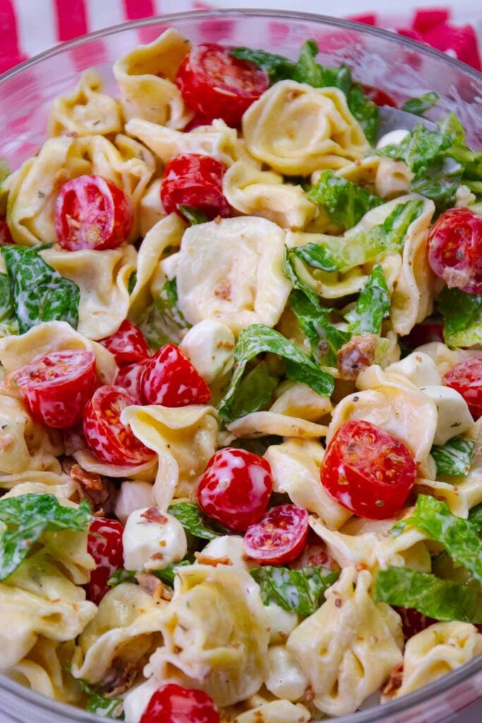 BLT Tortellini Pasta Salad served for a picnice or cookout is the ultimate side dish for summer.