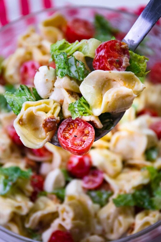 BLT Tortellini Pasta Salad served for a picnice or cookout is the ultimate side dish for summer.