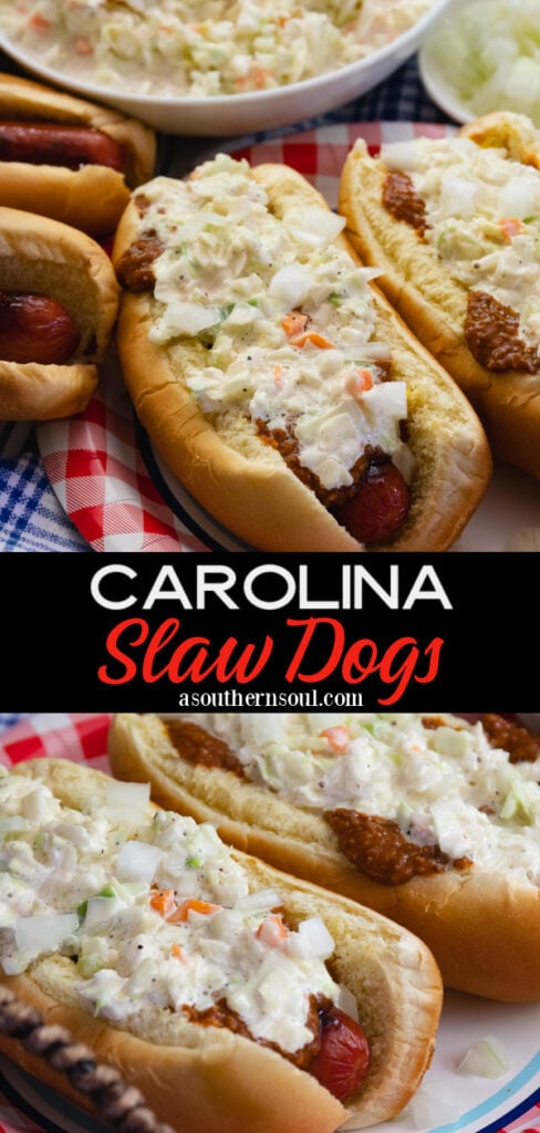 Pinterest pin for Carolina Slaw Dog Recipe
