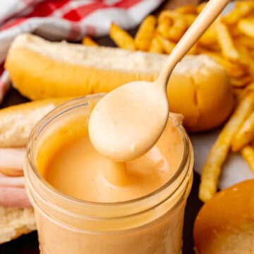 Small spoon with homemade fry sauce to serve with french fries or on sandwiches.