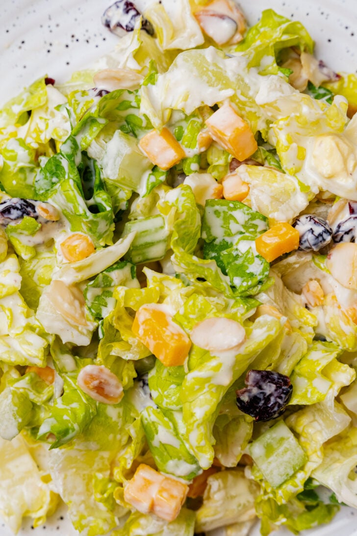 Chopped romaine lettuce, cubed cheese, almonds and dried cranberries tossed in a creamy dressing served in a white bowl.