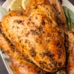 Whole roasted turkey garnished with fresh herbs and lemon slices on a white platter.