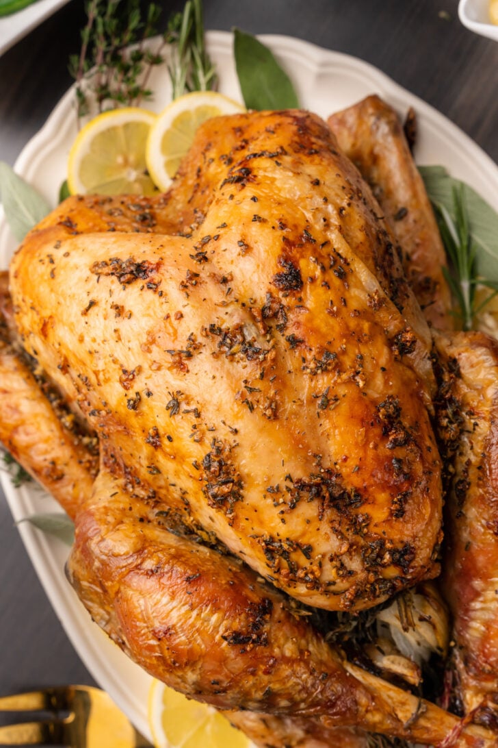 Whole roasted turkey garnished with fresh herbs and lemon slices on a white platter.