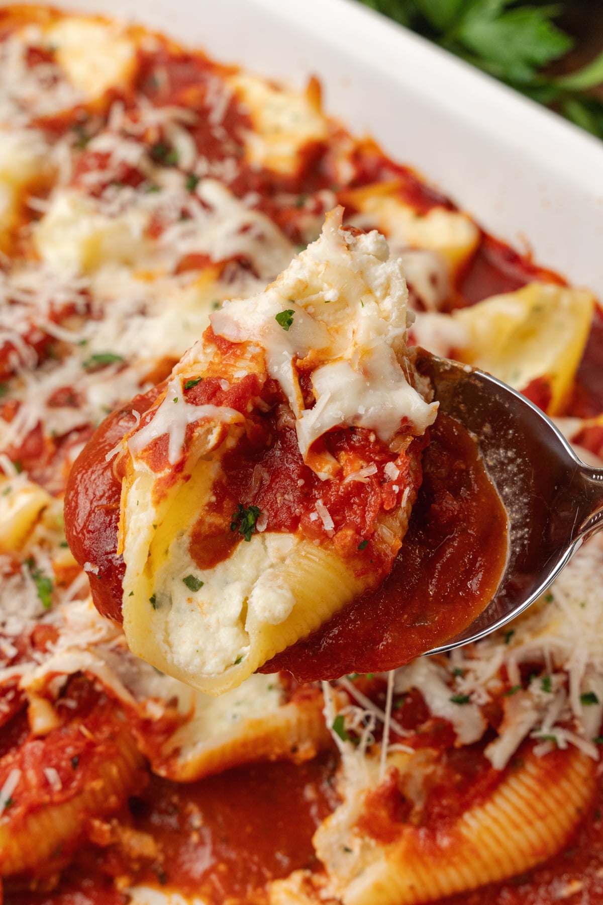 Spoon full of stuffed shells, stuffed with cheese parsley and marinara sauce inside a baking dish.