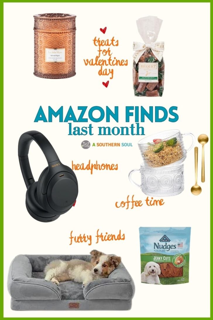 Feb Amazon Finds Last Month from Amazon Favorites In February recipe