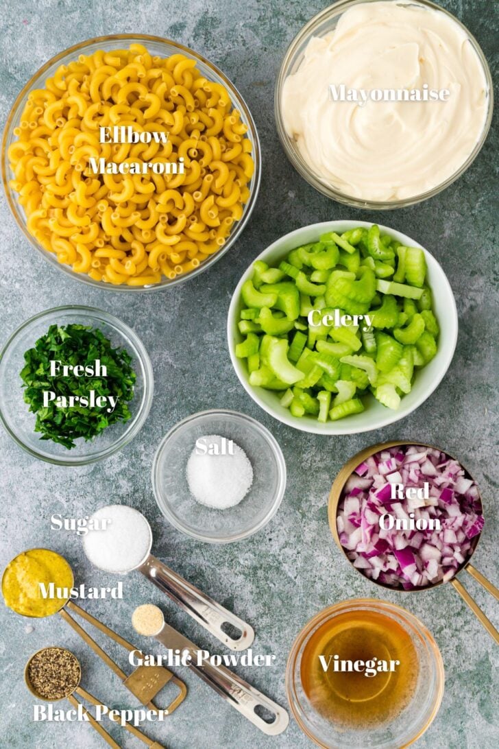 Ingredients to make macaroni salad. Celery, salt, red onion, sugar, mustard, macaroni, mayonnaise, vinegar, garlic powder and black pepper.