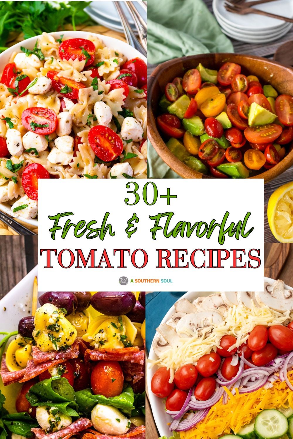 Four fresh tomato dishes featuring pasta salad, chopped vegetables, and toppings - 30 TOMATO RECIPES 2024 Pinterest pin collage