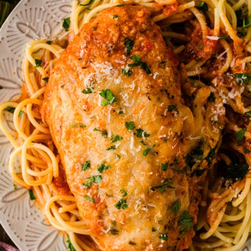 Crock Pot Chicken Parmesan with melted cheese and fresh parsley served over spaghetti on a decorative plate