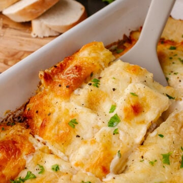Creamy white chicken lasagna slice served on a plate