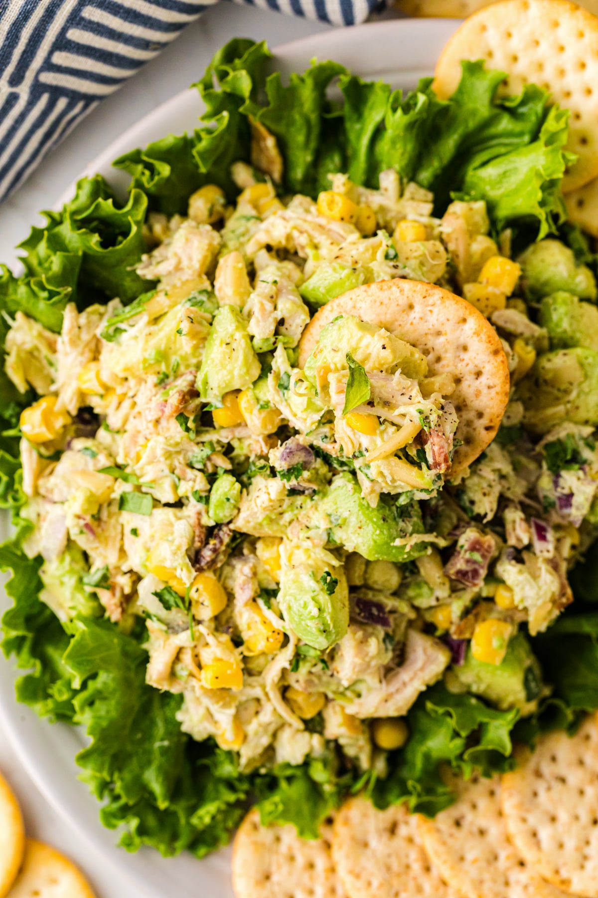 Avocado chicken salad 5 served on lettuce with corn, celery, and crackers on a white plate, overhead view