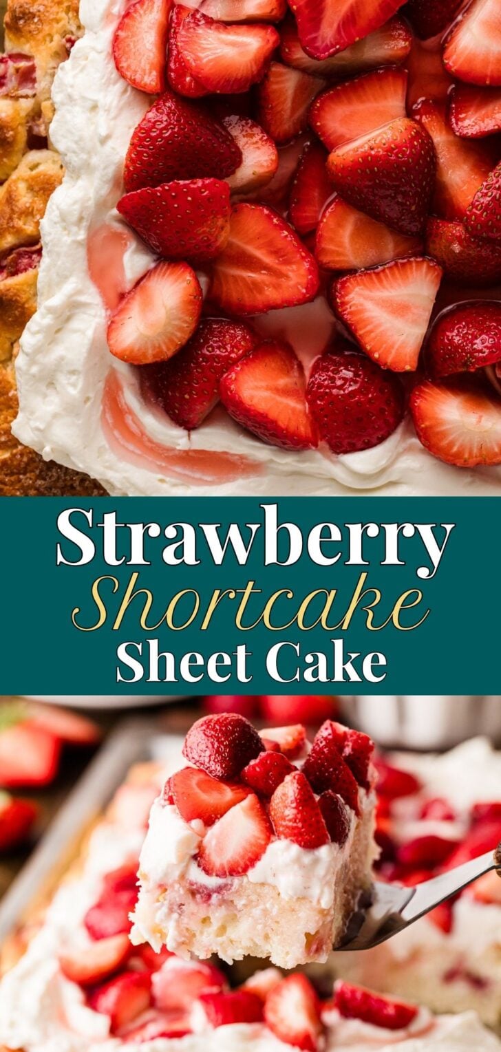 Strawberry Shortcake Sheet Cake topped with whipped cream and fresh sliced strawberries on parchment paper, Pinterest pin